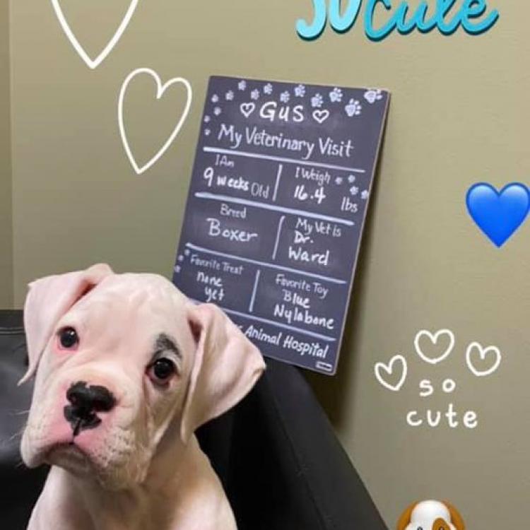 Franklin Lakes Animal Hospital Franklin Lakes, NJ